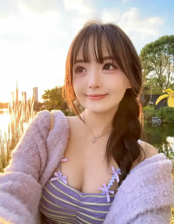 充电软件下载界面示意图